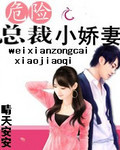 危險總裁小嬌妻