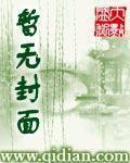 情迷寡婦村