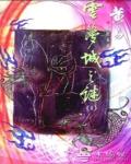雲夢城之謎