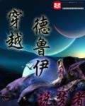 穿越德魯伊